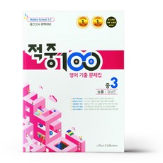 적중100플러스영어중3-2김성곤