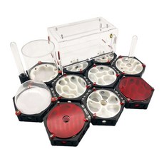 앤트빌(신나는개미탐험)