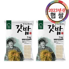 그린올린 2023년산 갓밥 갓쌀 9분도미 5kg x 2봉, 1개