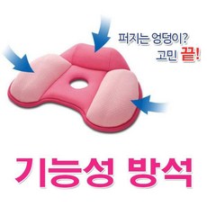 닥터바르미애플방석