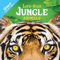 Jungle Animals Board Books, Igloo Books, English, 9781499881868