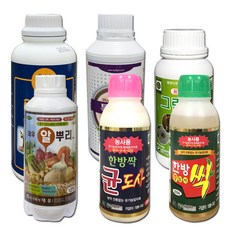 올드솔오프라인매장