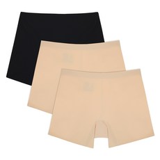 판도라거북이
