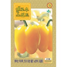 파프리카농장