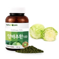 국내산 양배추환 위관리 복합식품 100g