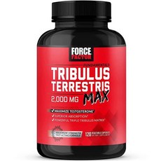 FORCE FACTOR Tribulus Terrestris Max 남성용 2팩 테스토스테, 2개, 120 Count (Pack of 1), 240정
