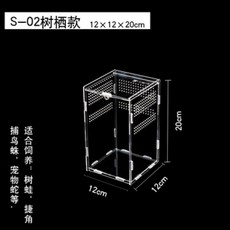렙타일쇼