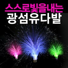 광섬유조명
