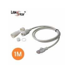 cat67m