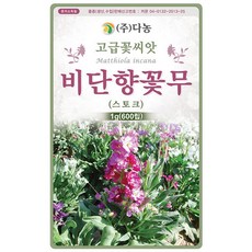 다농 스토크/비단꽃향무 20g 야생화 꽃 씨앗 종자