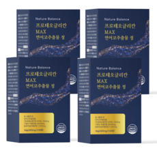 네이처발란스 프로테오글리칸 MAX 360mg 연어코연골추출물 60정 연어코추출물 2형콜라겐, 240정, 240정