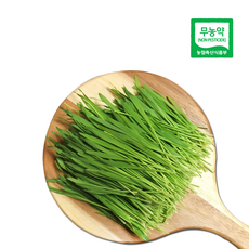 대관령청정농원 해발700m 오대산 청정지역 무농약 인증 보리순8kg(월회원), 1개, 8kg