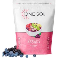 원솔 린 플랜트 프로틴 파우더 단백질 BCAA 비타민 A C 칼슘 철분 아사이 베리 블라스트맛 620g 20회분, Acai Berry Blast, 20 Servings, 1개