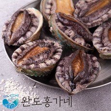 홍가네쫄면