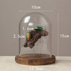 1d20fdf61c14e03baa8765c7c7ab542a4c4f29a443b65969b00c3b3a2ba5.jpg