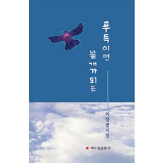 이상날개