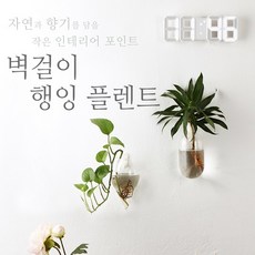 행잉 식물인테리어 벽걸이 유리 화병, 03_벽걸이 유리화병 큐브