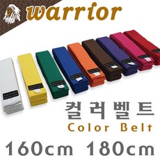 주짓수오렌지벨트