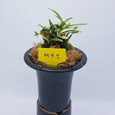 a3e46809eddad8eb5ad19b183352319566cdc26686d1c3cb47cdde44a8a2.jpg