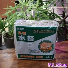 뉴질랜드수태5a