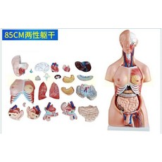 cf4169b1a1df6bdf891a28aa24dc2d99438a9662c8f3341c9ae7ffff1e5e.jpg