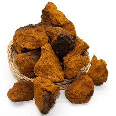 청수생약 러시아 차가버섯 분말 500g / 원물 500g 1kg 차가버섯차, 차가버섯 원물 500g, 1개