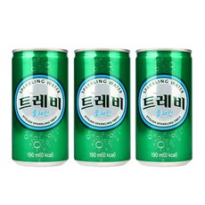 트레비 플레인 탄산수 190ml X 60캔, 1개