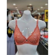 메종르자비