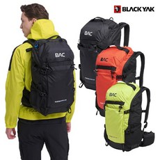 자이언트에스케이프2디스크