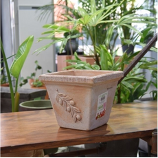 추천4화분쇼핑몰