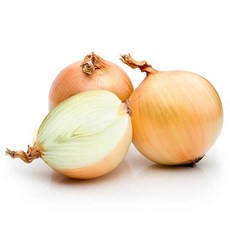 [당신의맛]산지직송 햇양파(중), 1박스, 5kg