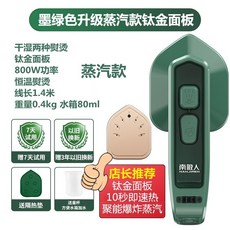 홈플래닛핸디형스탠드스팀다리미