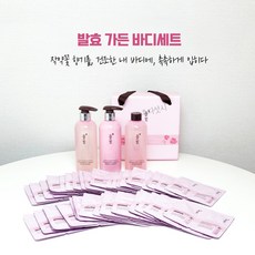 올빚 발효가든 워시&로션 바디케어, 1개, 300g