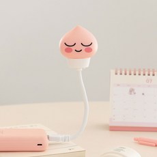 카카오프렌즈 USB 램프 / USB램프등 차량USB램프 USB조명 캠핑조명 감성조명 홈카페 독서등 무드등 수면등, 어피치