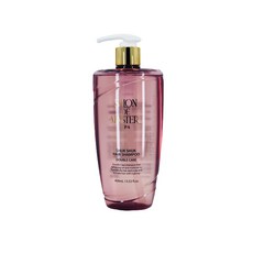 살롱드마스터 살롱드 마스터 쓕쓕 헤어 샴푸 더블케어 400ml, 1개