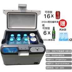 차량용 캠핑 냉장고 이동식 소형 미니 냉온장고 12L 19L, 12L 싱글 카셰어링 12v/220v