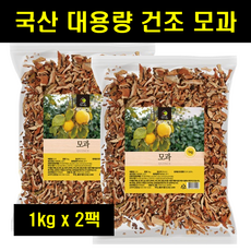 생모과