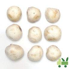 사라상회 양송이 4Kg (파지), 1개