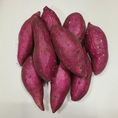 아빠의마음고구마