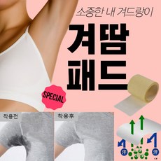 몬스터팩토리데오패치