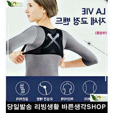 회사원자세교정기 예고입시 피아노입시생 교정밴드 통풍잘되는자세교정기 고시생자세교정기 학생용자세교정기 직장인자세교정기 바른자세교정기 체형교정용품