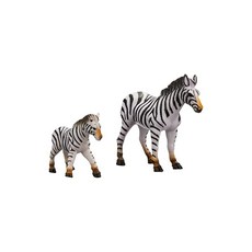 내셔널지오그래픽동물