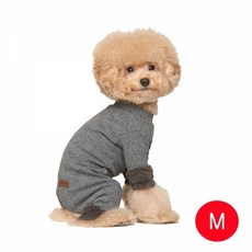 강아지 캐시 웜 올인원(그레이 M), 본상품