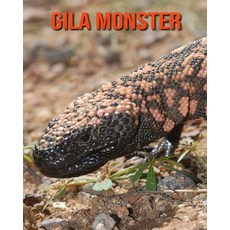Gila Monster: Fun Facts & Cool Pictures Paperback, Independently Published