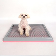 딩동펫 반려동물 와이드 배변판, 핑크, 1개