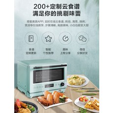 복합형전자렌지