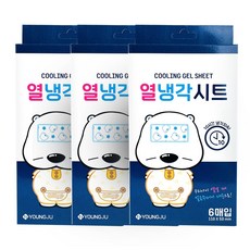 곰탱이열냉각시트