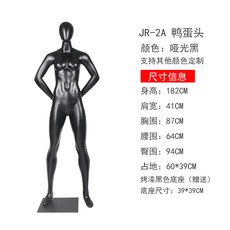 디자이너 지하상가 미대 동대문 부산 모델용 마네킹 웨딩홀 마네킹 동대문 구입 제우스 아프로디테 골프 철사근력운동 모델 아이템 남녀 전신 콤비 패션모델 런웨이 사진 촬영 뻑뻑, 옵션04, 01.정부배급