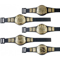 WWE 레슬링 액션 피규어를위한 5 개의 챔피언십 벨트 세트
