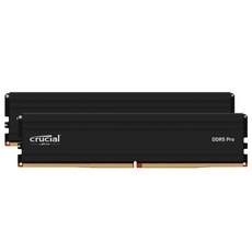 DDR5-5600 크루셜 PRO(마이크론제) 데스크탑용 메모리 16GBX2장 제한 첨부 무기한, 2개